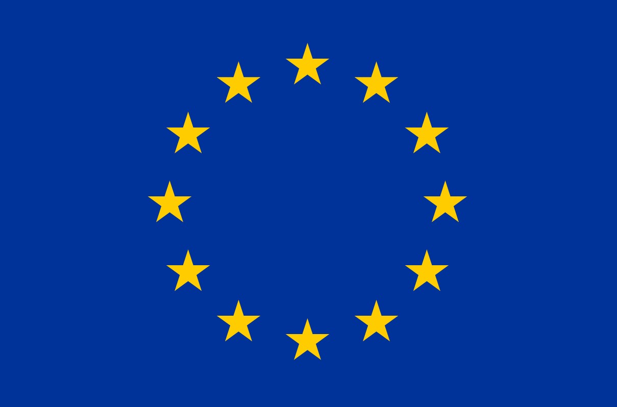 European Union flag